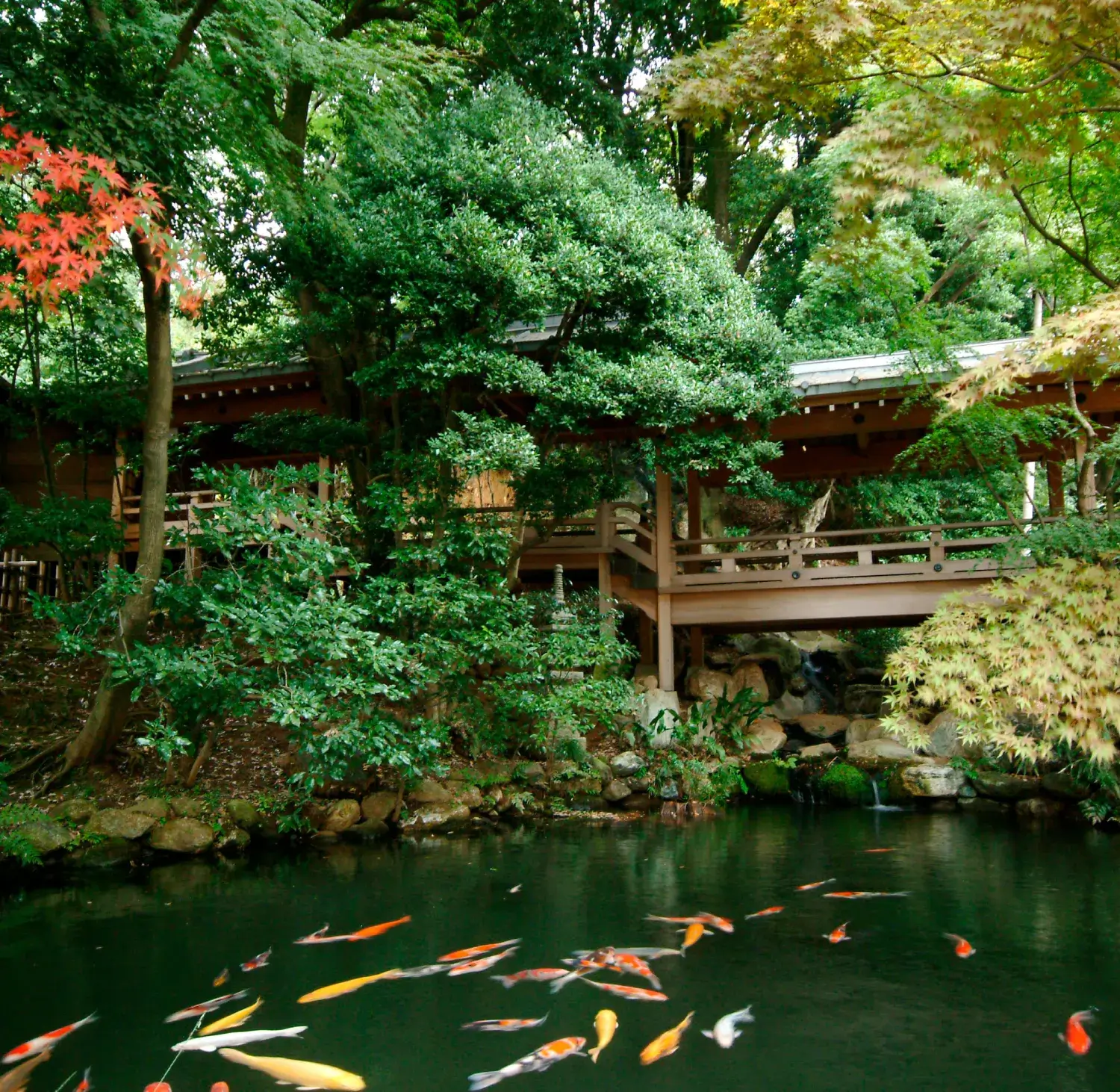深大寺